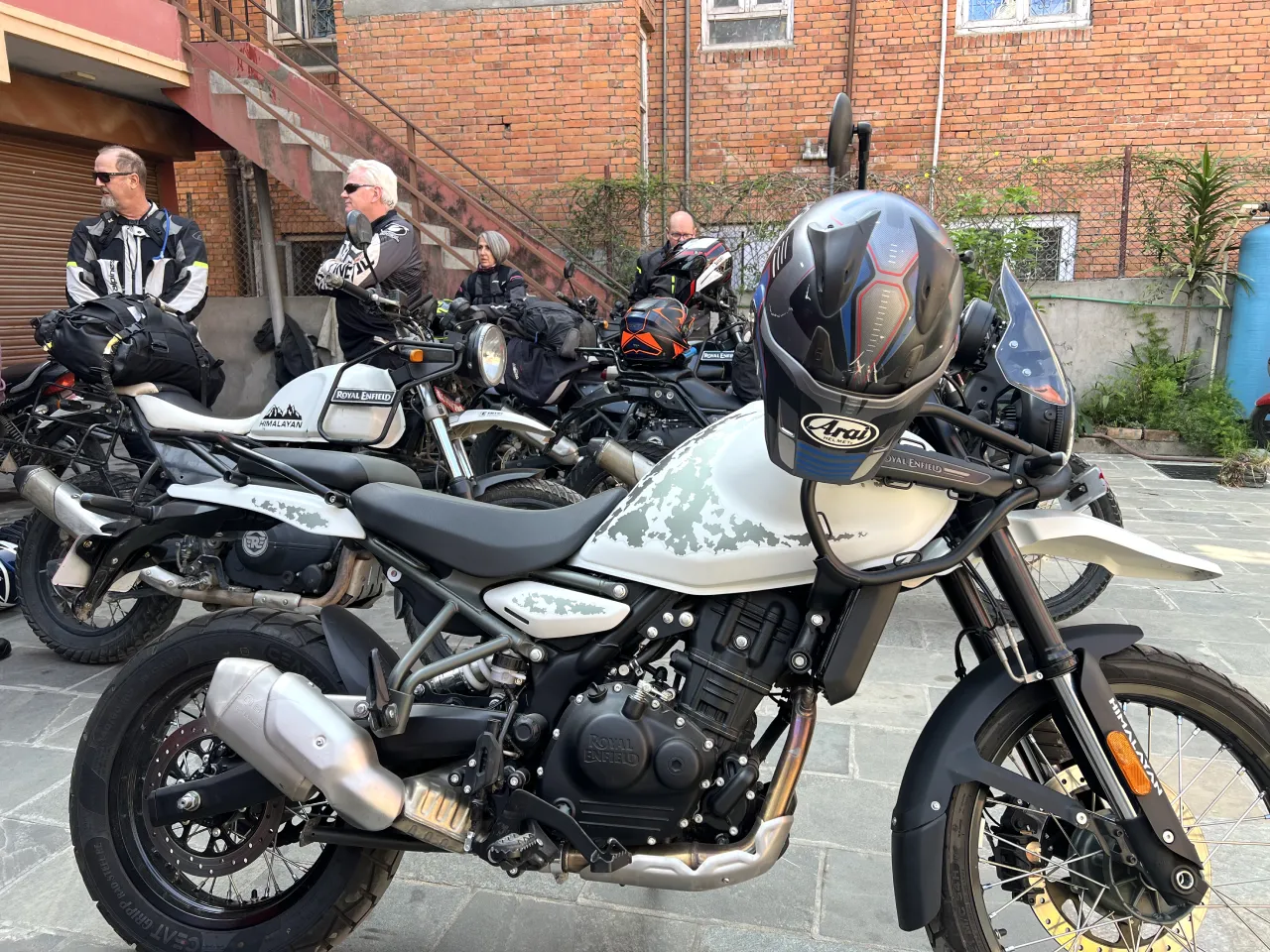 Курск облысы, Железногорск қаласындағы жезөкшелер