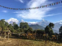 Australian Camp Dhampus Trek