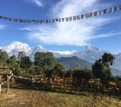 Australian Camp Dhampus Trek