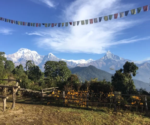 Australian Camp Dhampus Trek