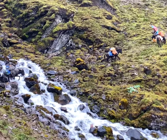 Bhutan trek