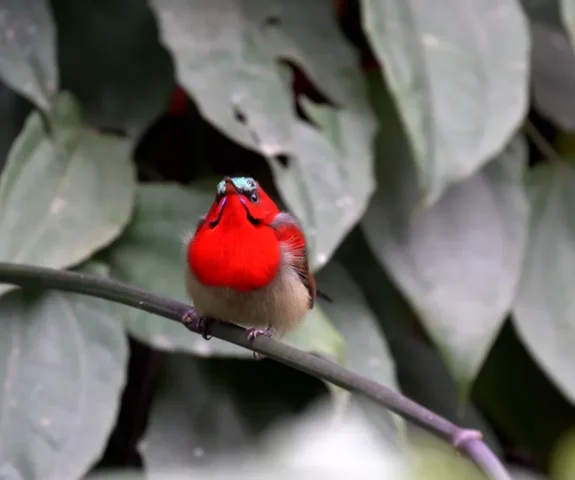 Bird at National Park