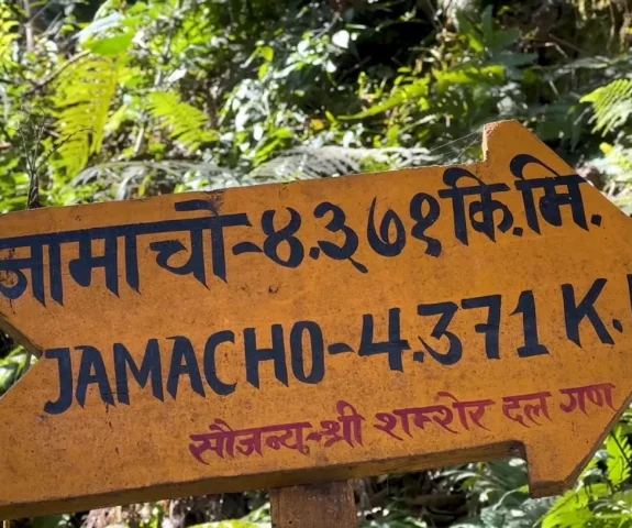 Jamaco hike