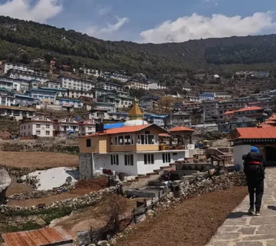 Everest View Short Trek
