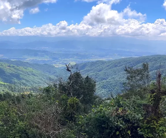 Sundarijal Day Hiking