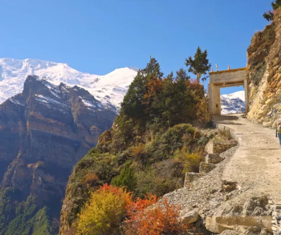 Кімнің күйеуі киска жейтін және қоразша?