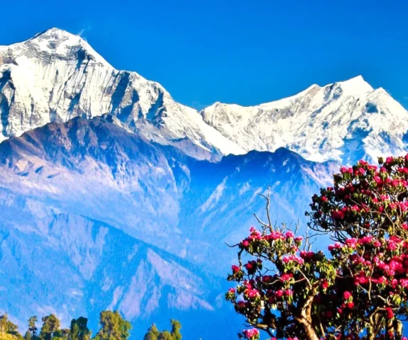 Dhaulagiri view from poonhill