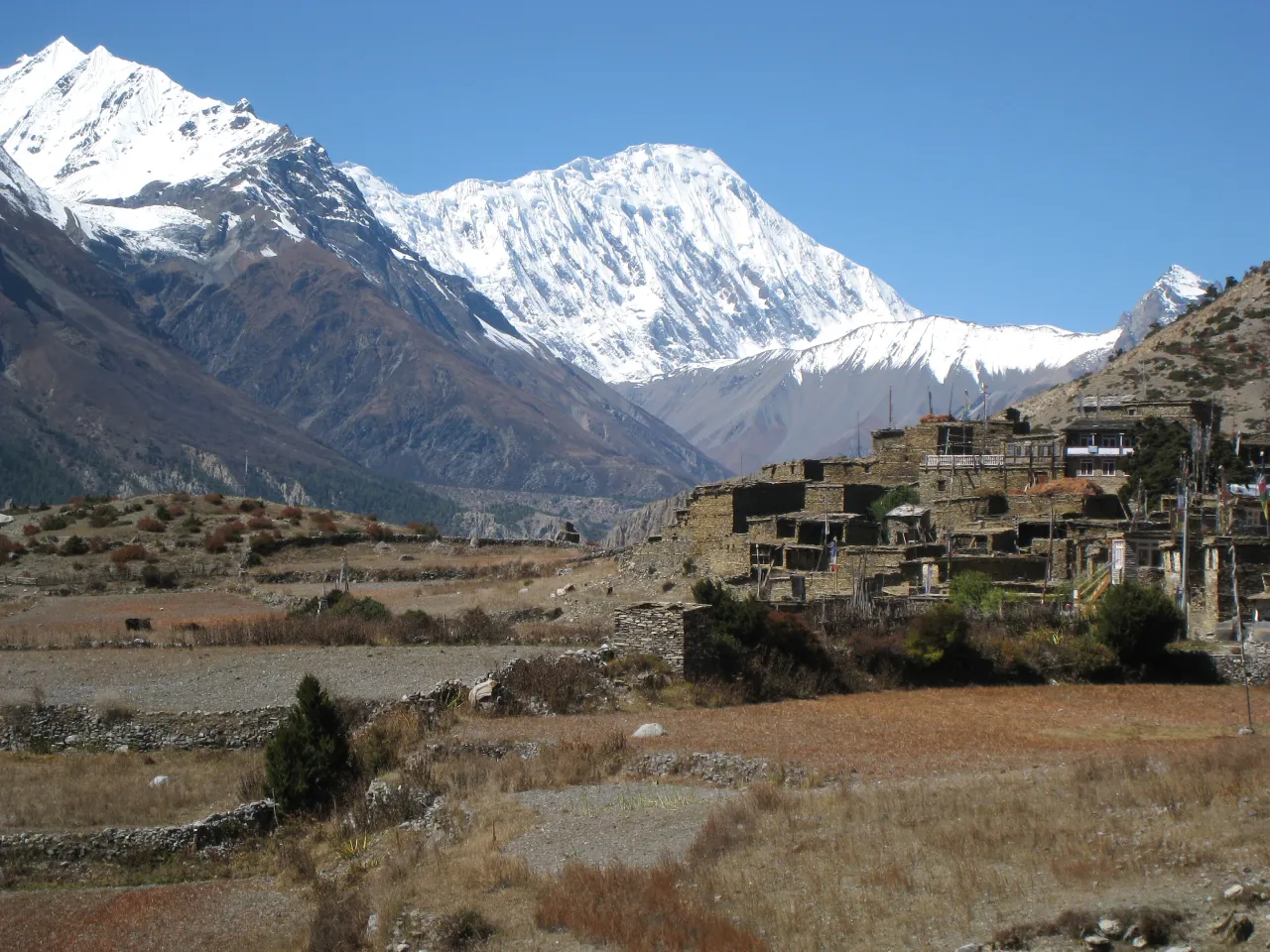 Ішке өте үлкен бөтелке кірді