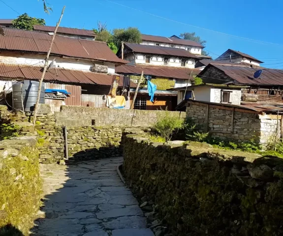 Гүл дүкеніндегі порно Табиғатта артық салмағы бар әйелдердің жалаңаш суреттері