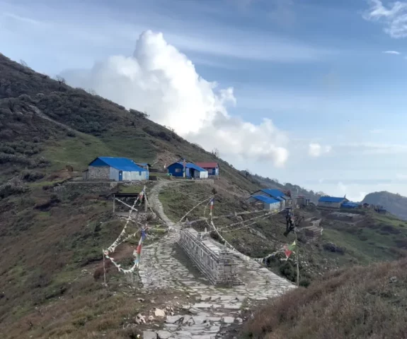 Nysahampati