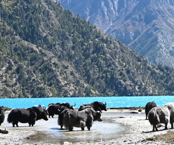 Жасөспірімдерге арналған орыс порно Порно ұлы орыс анасымен онлайн