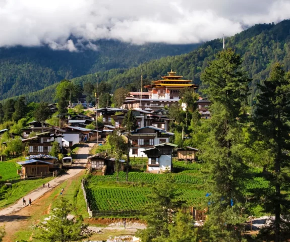 Bhutan Village