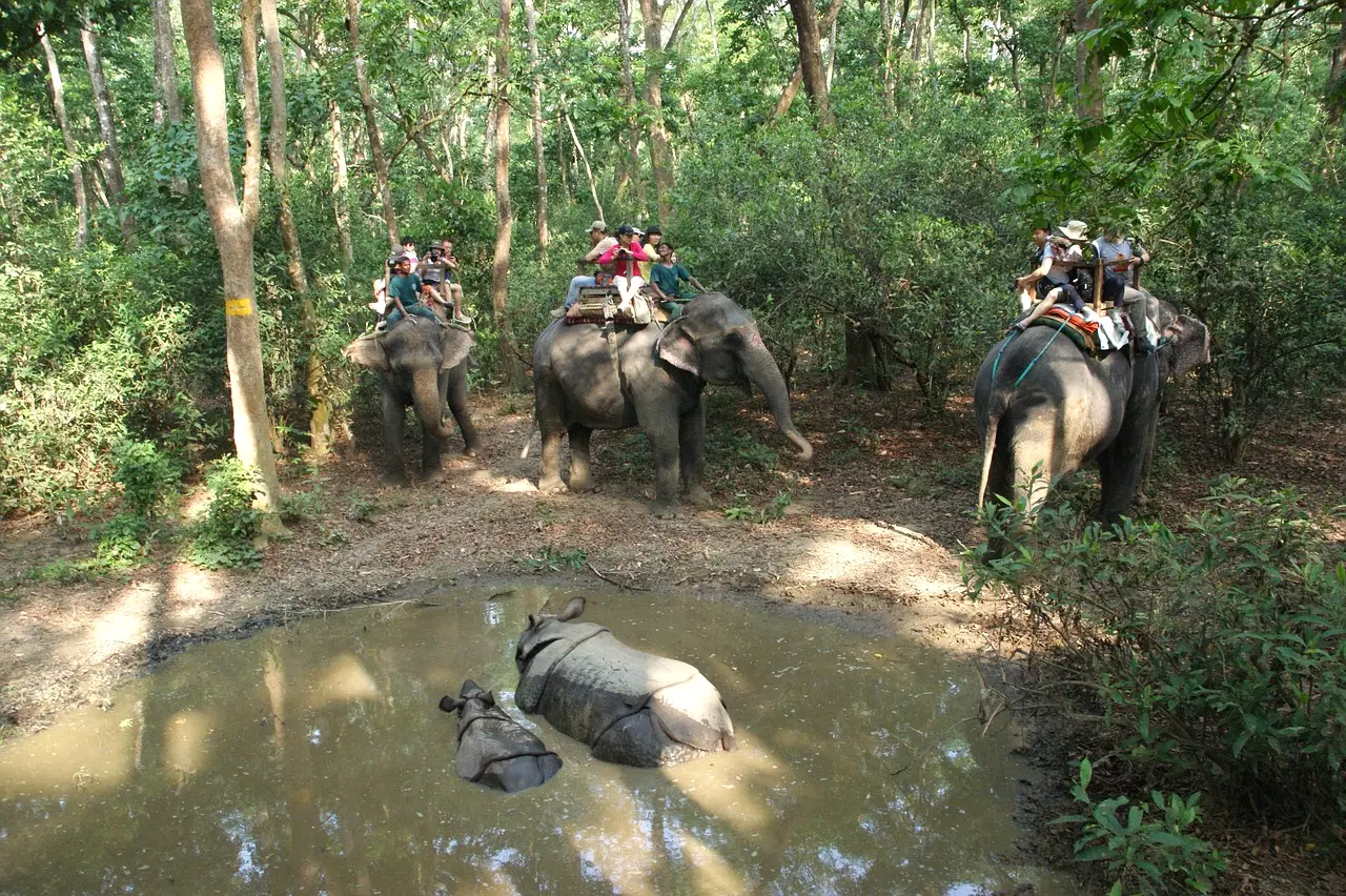 Chitwan Elephant Safari
