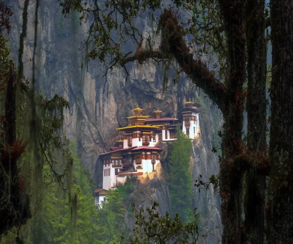 Jamoat transportida sik ishqalayotgan porno video