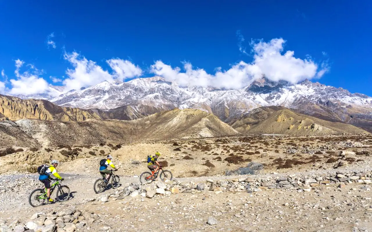 Mountain Biking