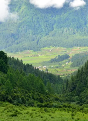 Phobjikha valley