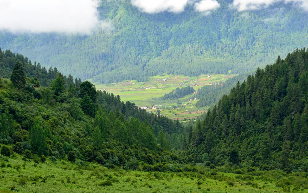 Phobjikha valley