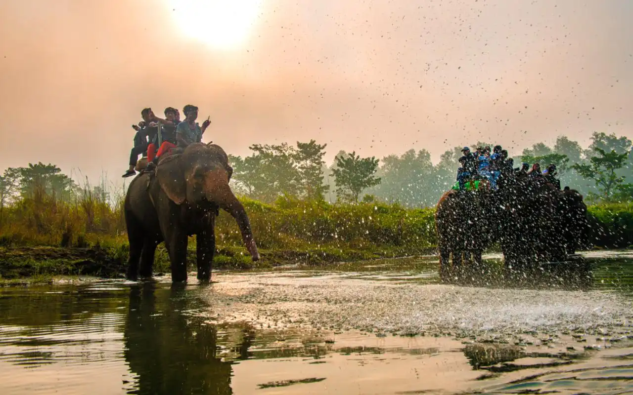 Elephant Safari in Chitwan National Park 