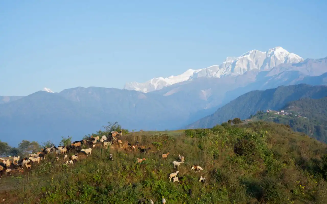 Ghale gaun, Eco tour in Nepal