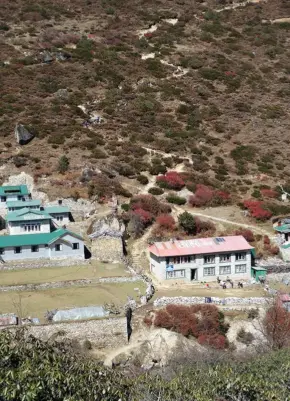 Nepal Tea House Trek