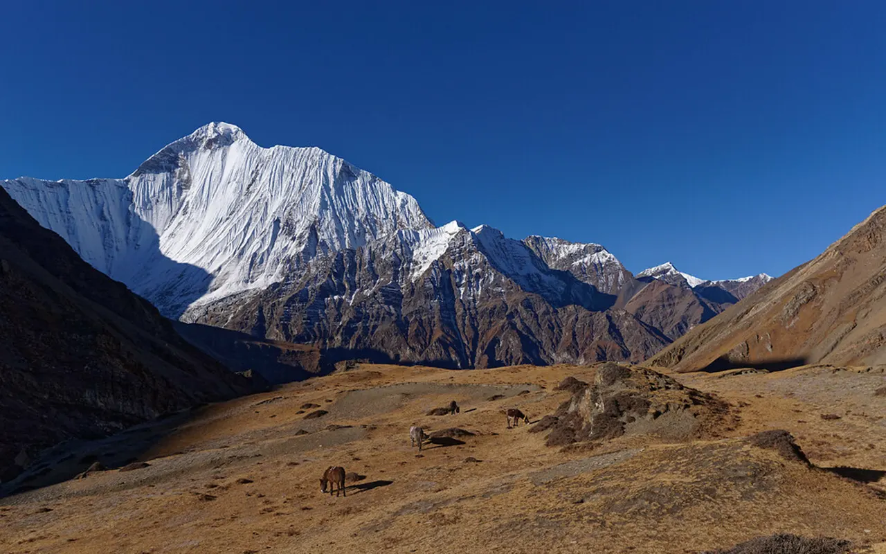 Solo Travelers Can Now Access Restricted Areas