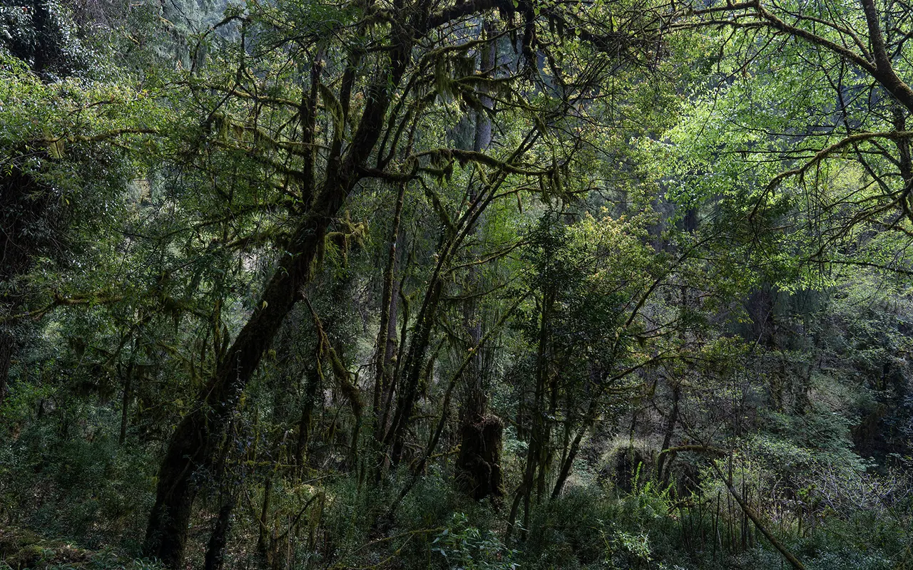 Manaslu Trekking Route
